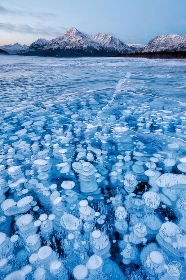 Surreal Ice Bubbles in the Abraham Lake, Canada